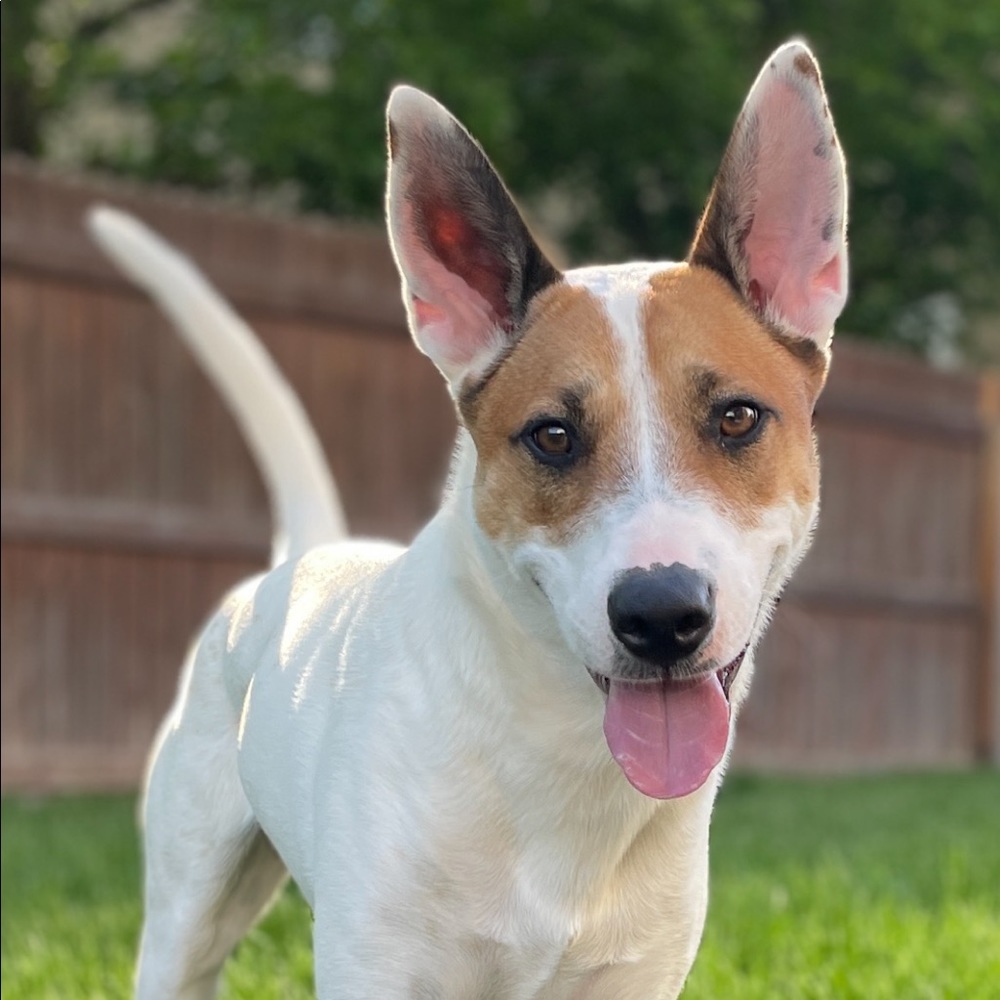 Meet your Posher, Jenna